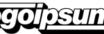 logoipsum-288-1.png